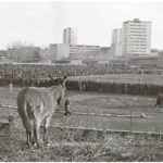 French Artistic Culture and Central-East European Modern Art